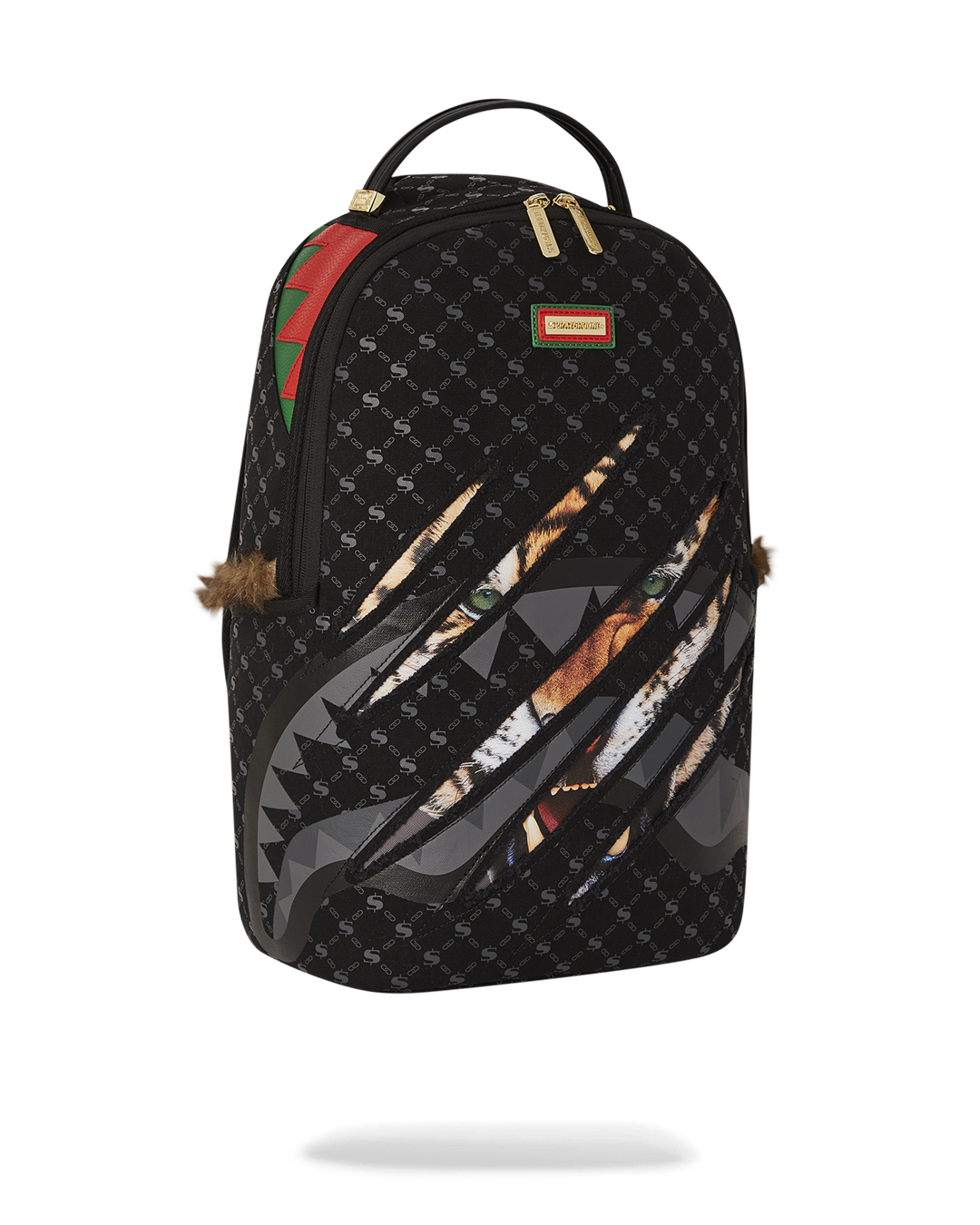 Designer backpacks lined up, highlighting ergonomic mesh padding and adjustable straps