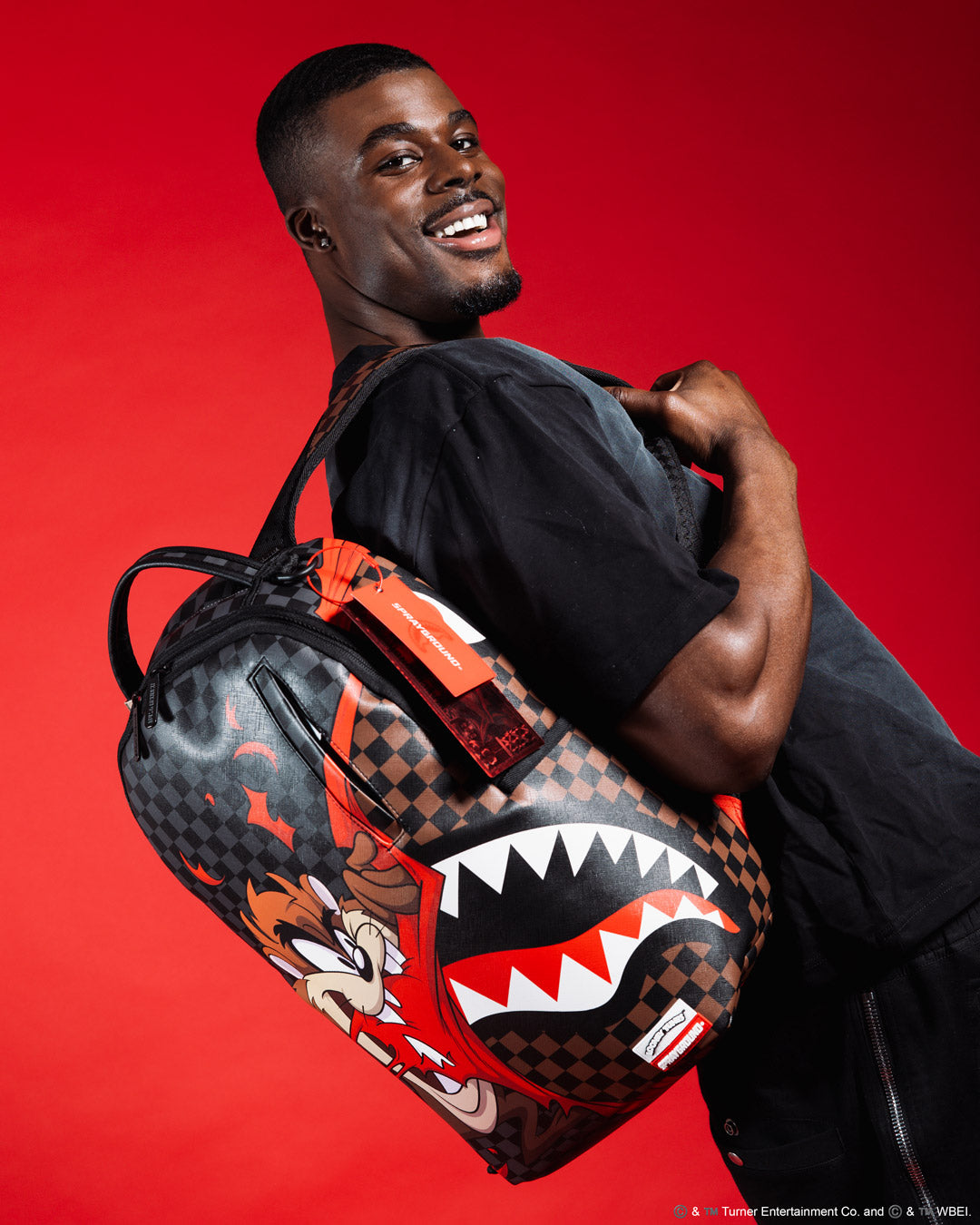 Back view of the Taz backpack featuring adjustable straps and ergonomic padding.