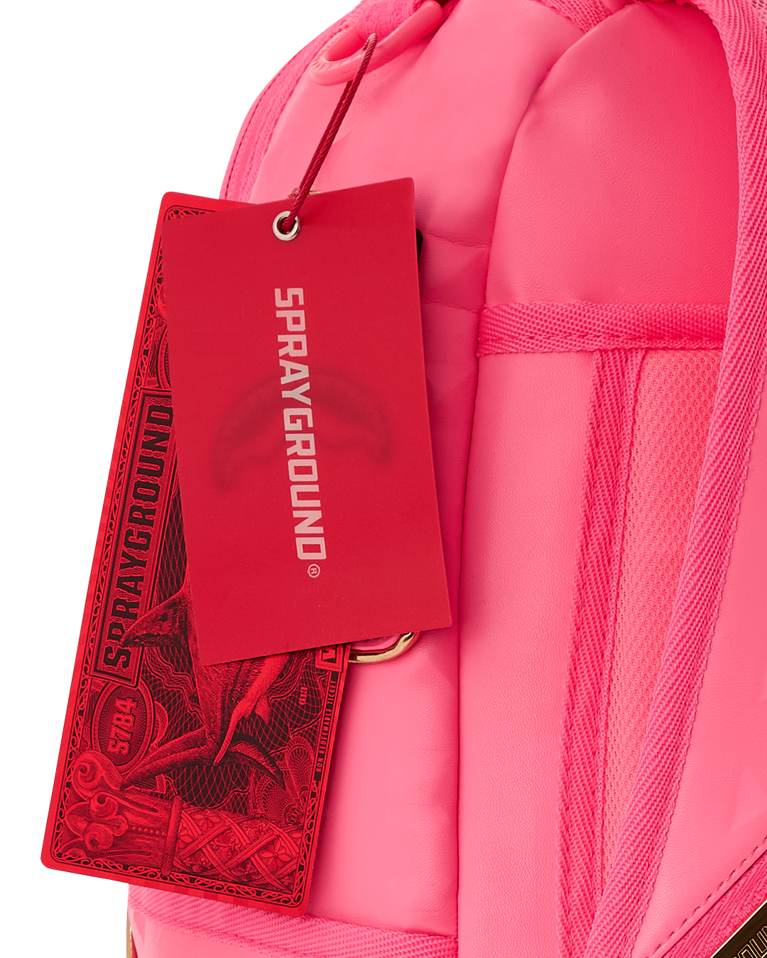 Back view of the backpack with ergonomic mesh padding and luggage sleeve
