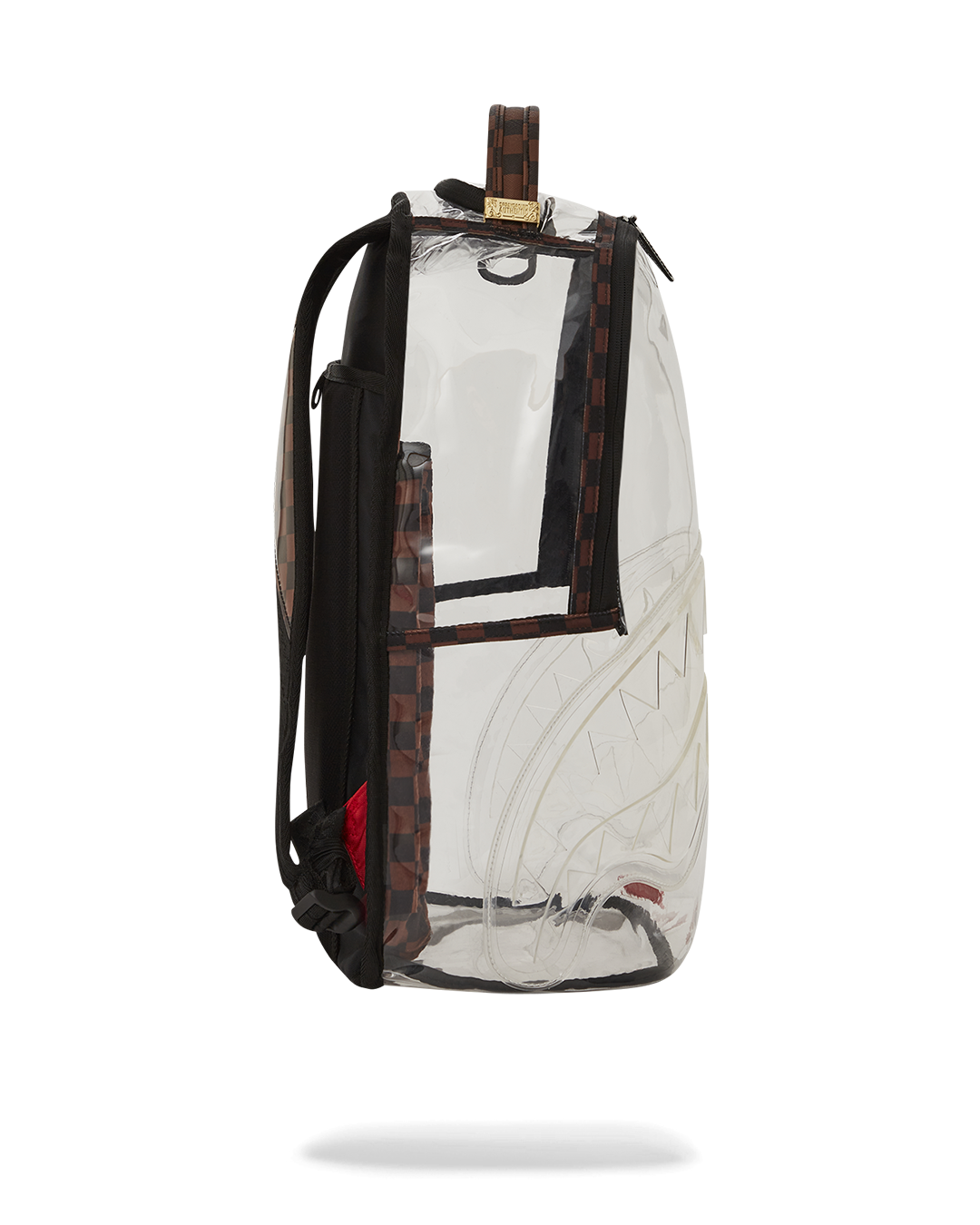 Back view of the backpack, showing the ergonomic mesh back padding and adjustable straps.
