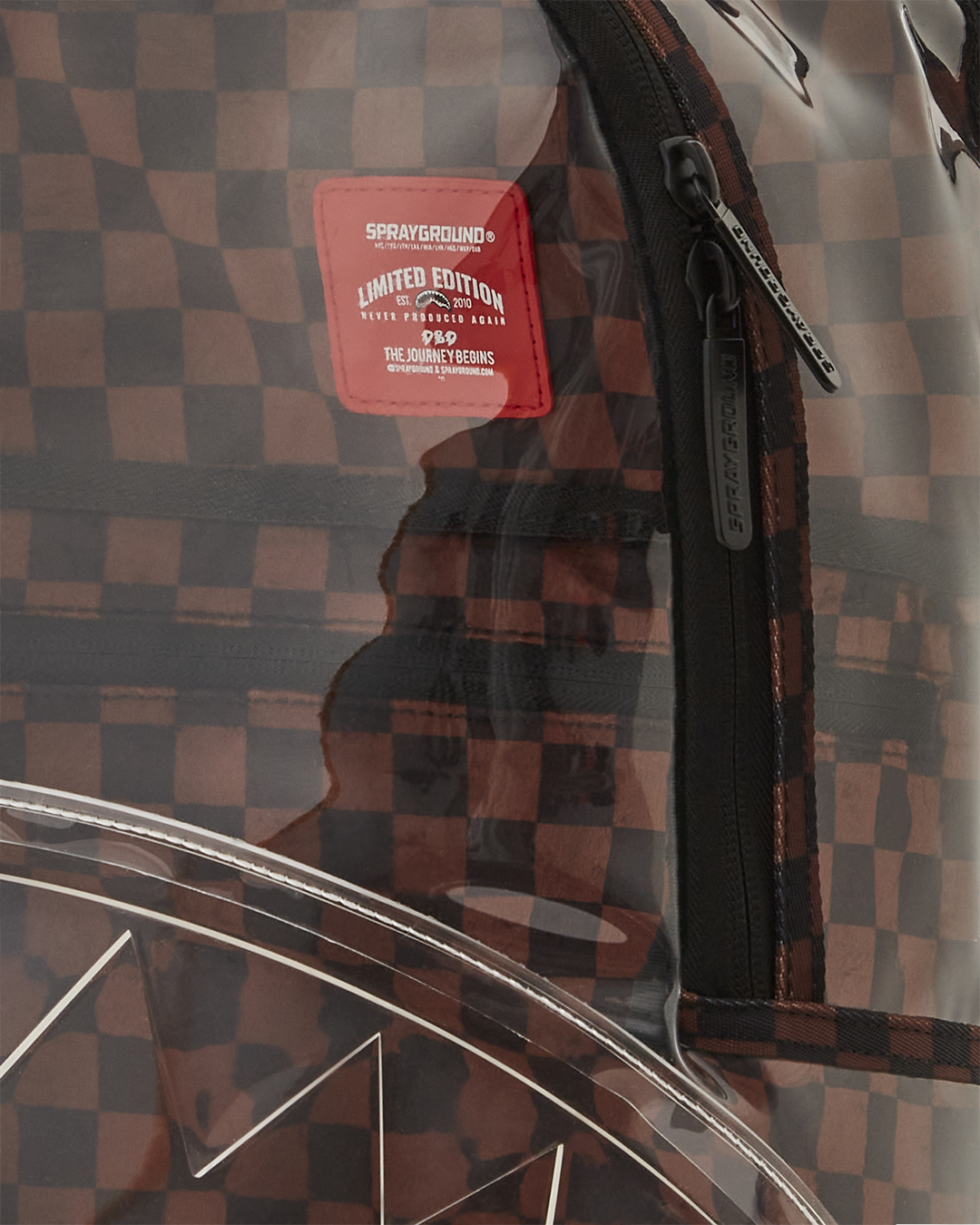 Back view of the backpack, showing the ergonomic mesh back padding and adjustable straps.