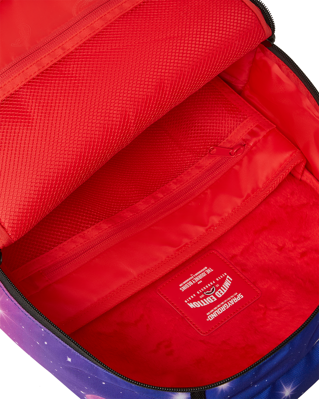 Ergonomic mesh back padding of the Peak Design Backpack