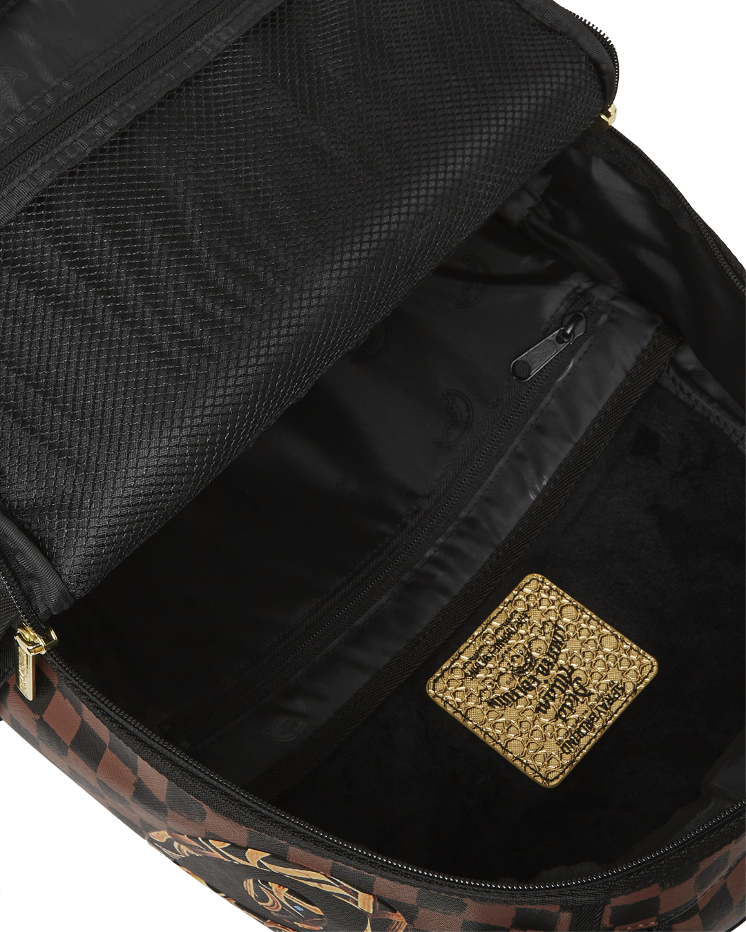 Backpack in use, showing ergonomic mesh back padding and adjustable straps