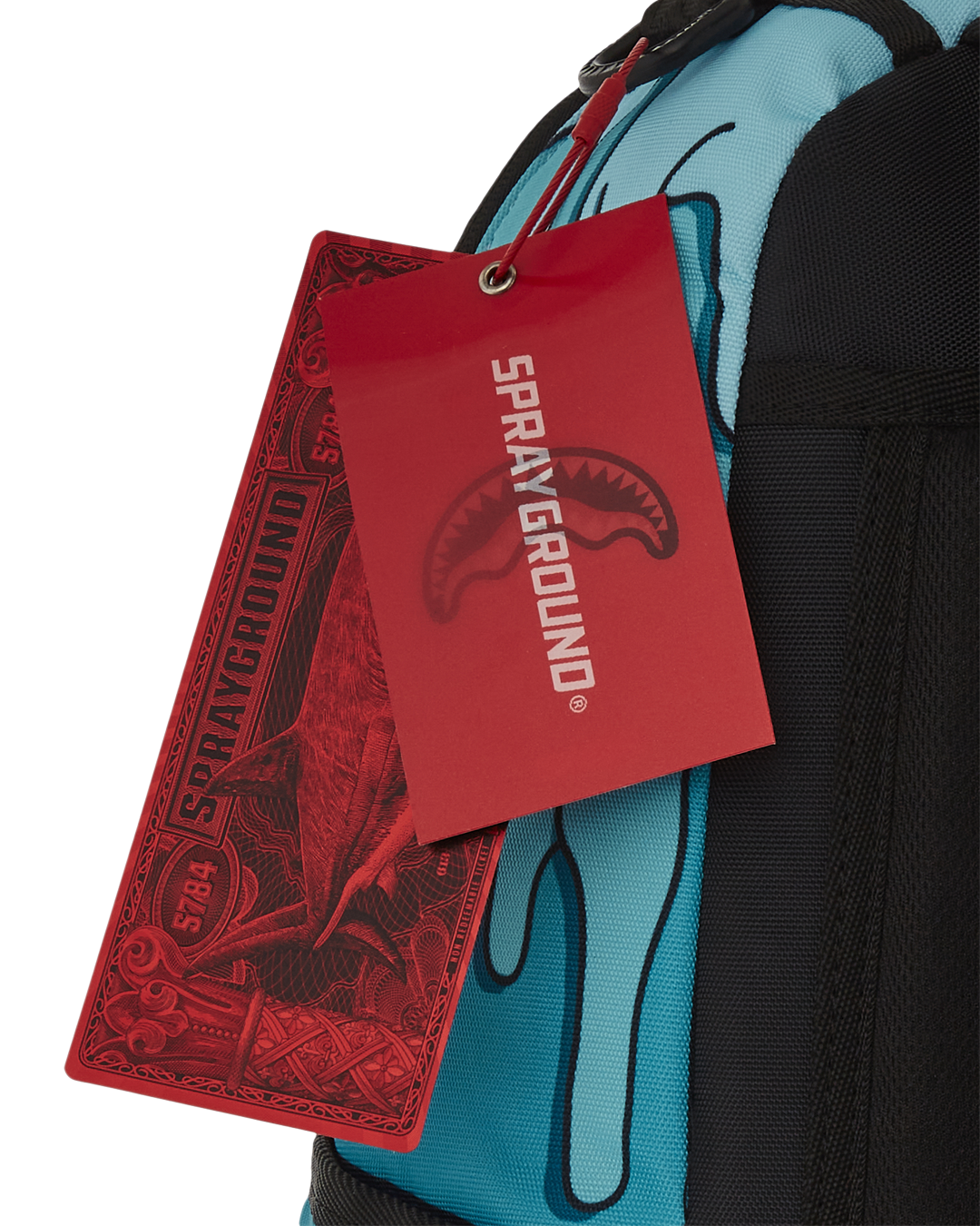 Peak Design Travel Backpack front view with multiple pockets