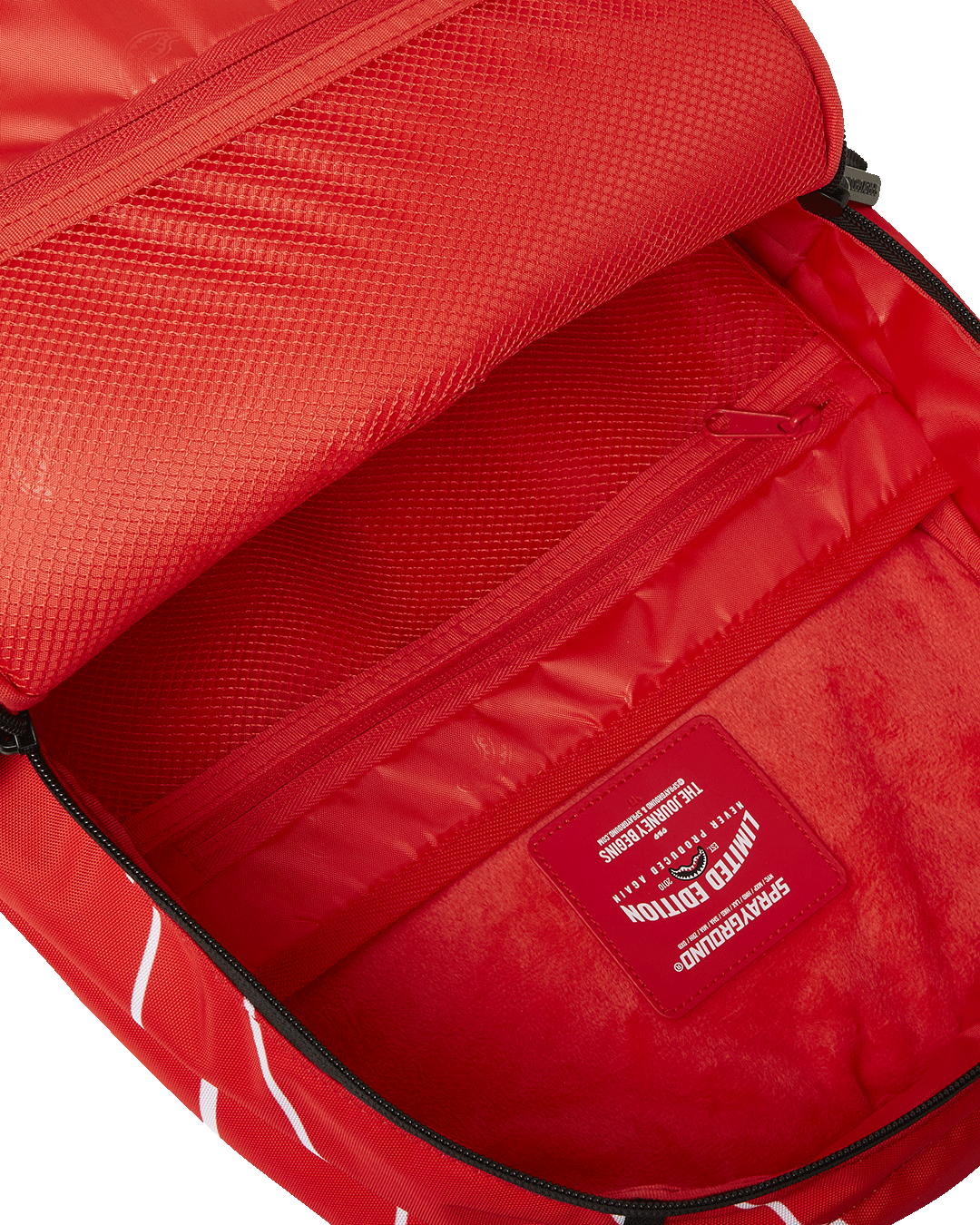 Back view of the backpack, highlighting the ergonomic mesh padding and adjustable straps.