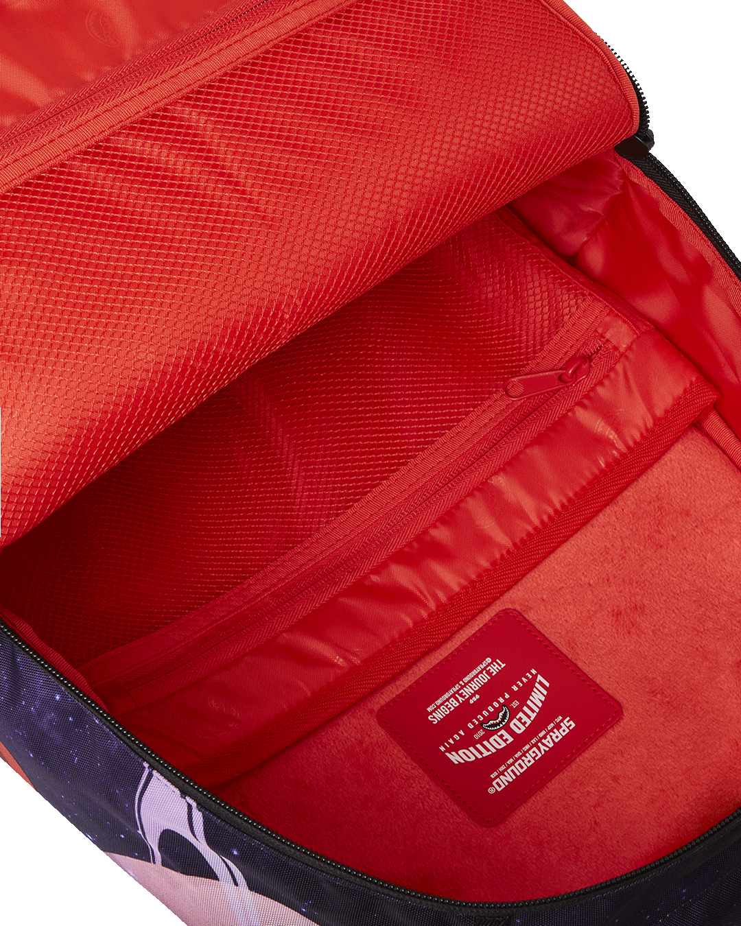 Interior of the travel backpack featuring a dedicated laptop compartment and mesh organizer