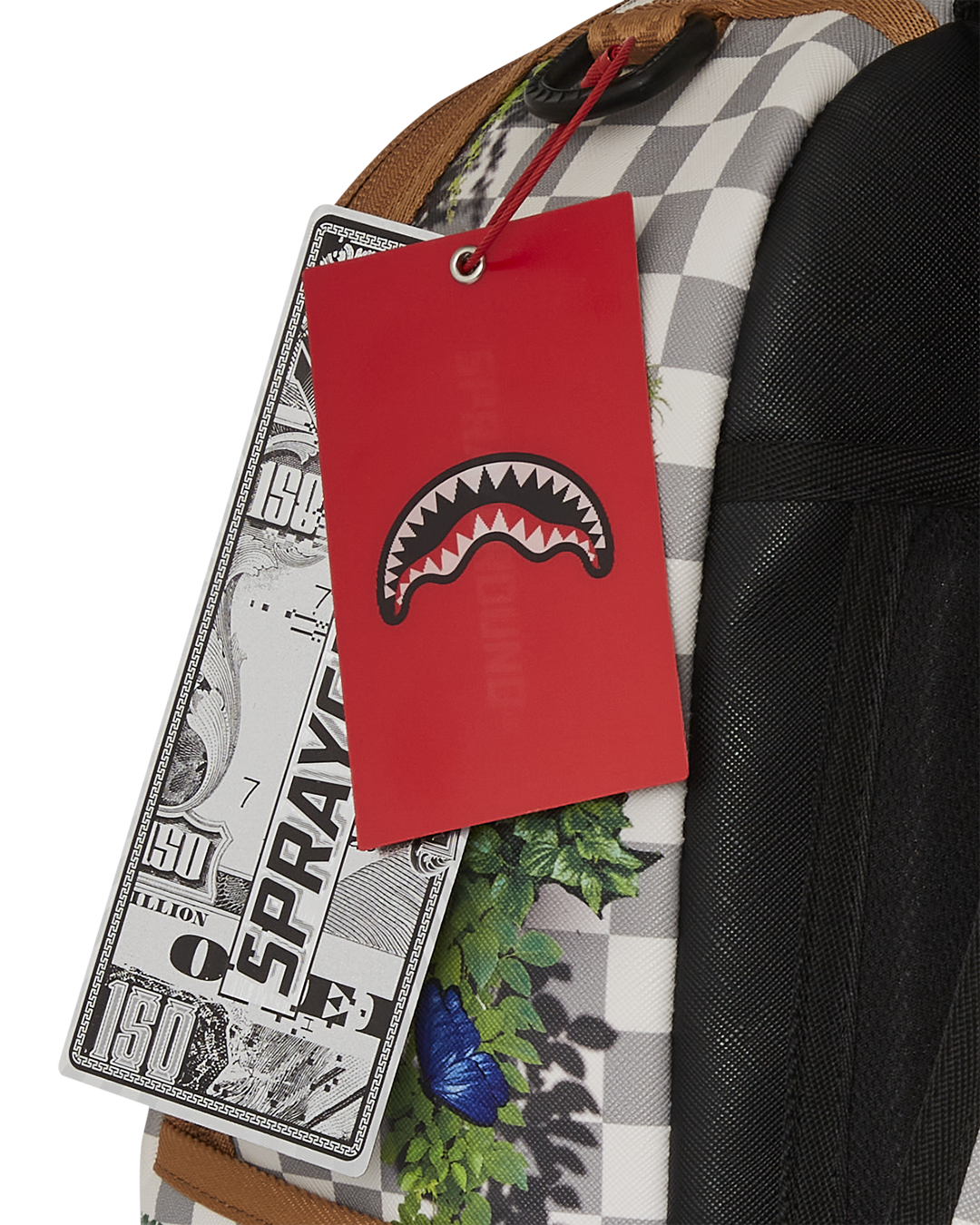 Back view displaying ergonomic padding and adjustable straps of shark backpack