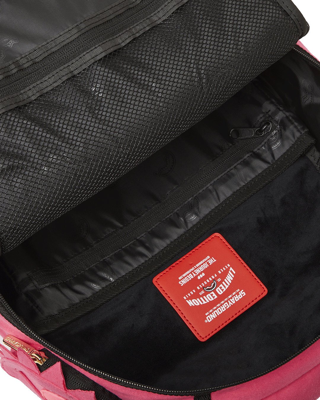 Interior view highlighting mesh organizer and separate laptop sleeve