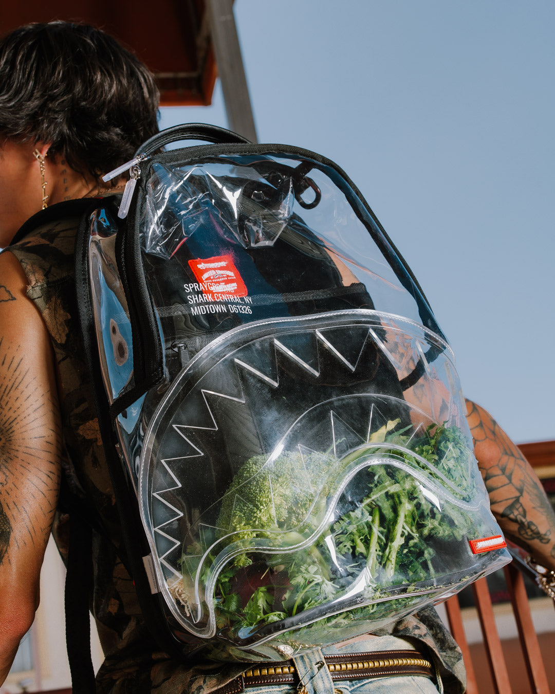 Front view of the Shark Central clear backpack with spacious compartments.