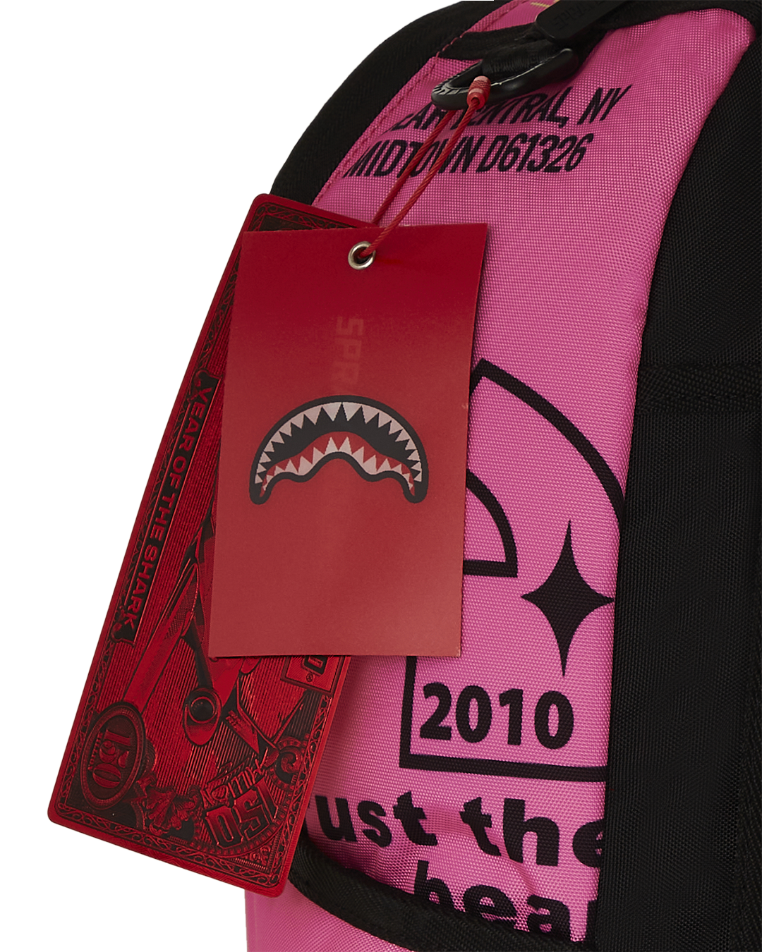 Interior of Future Flex Bear Travel Backpack showing laptop compartment and organizer pocket.