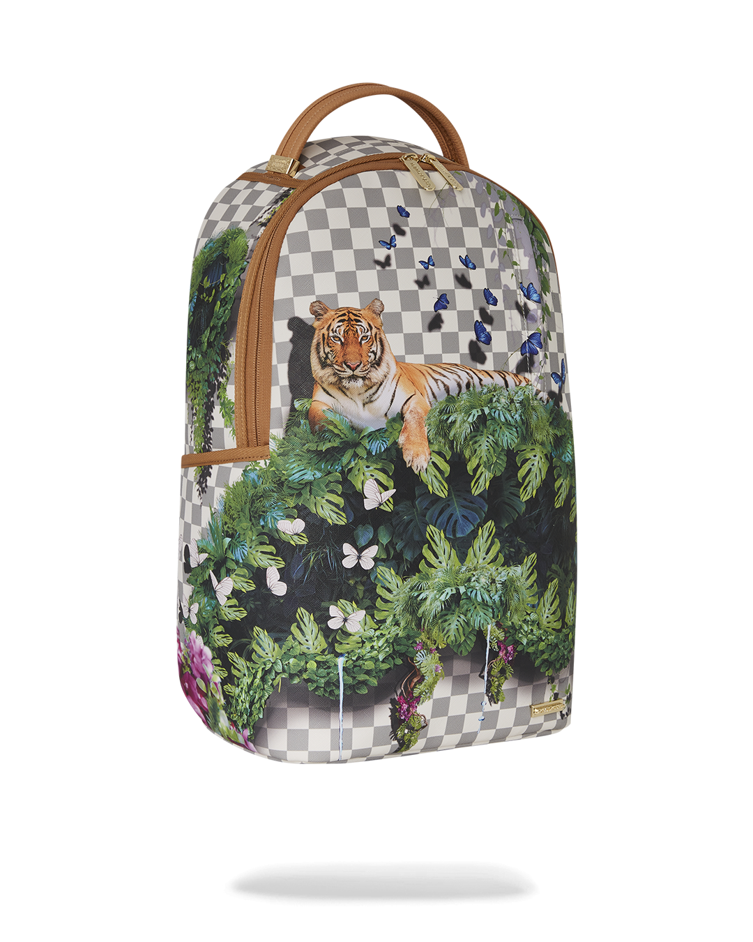 Back view displaying ergonomic padding and adjustable straps of shark backpack