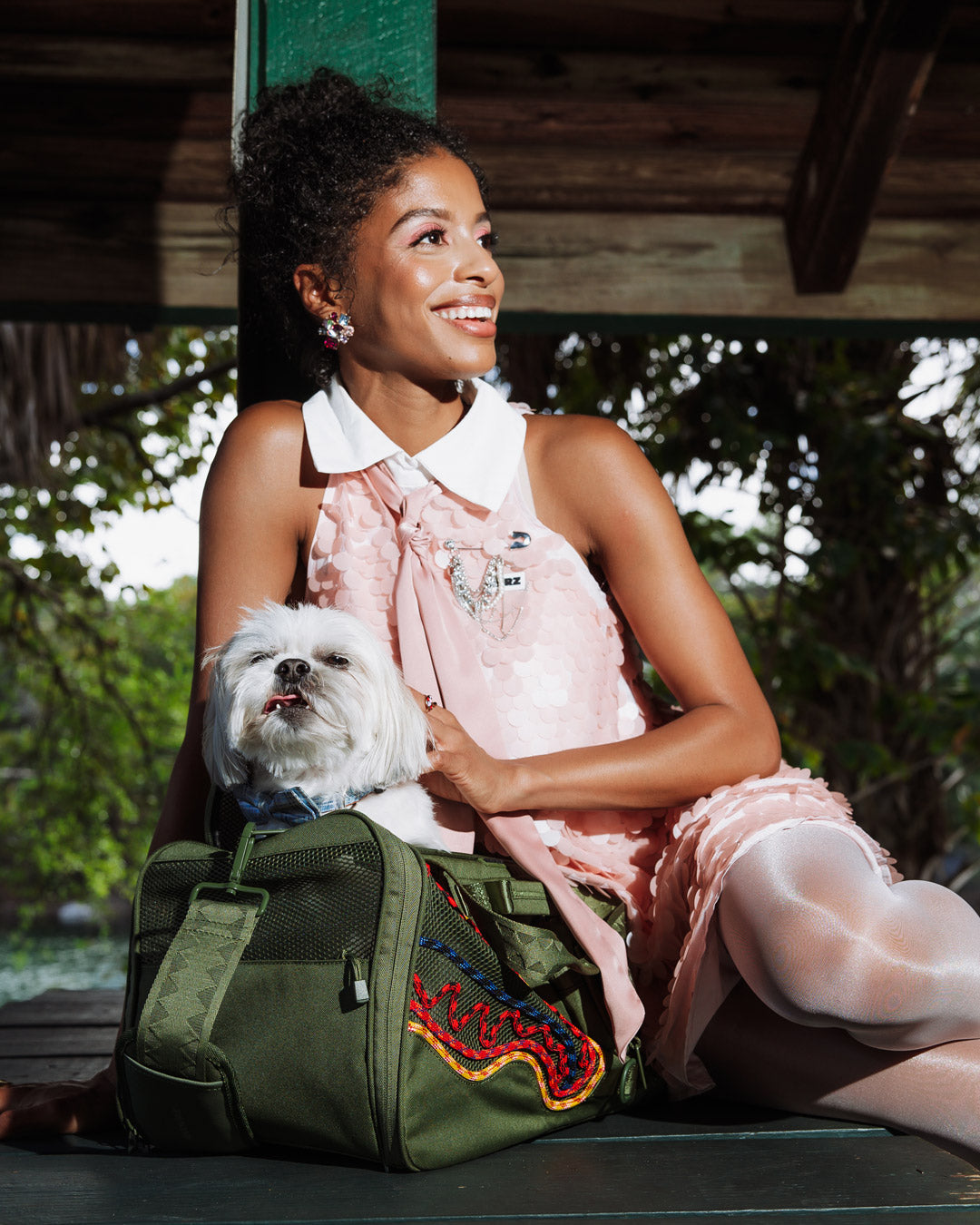 Demonstration of the Summit Pet Carrier being used for travel.