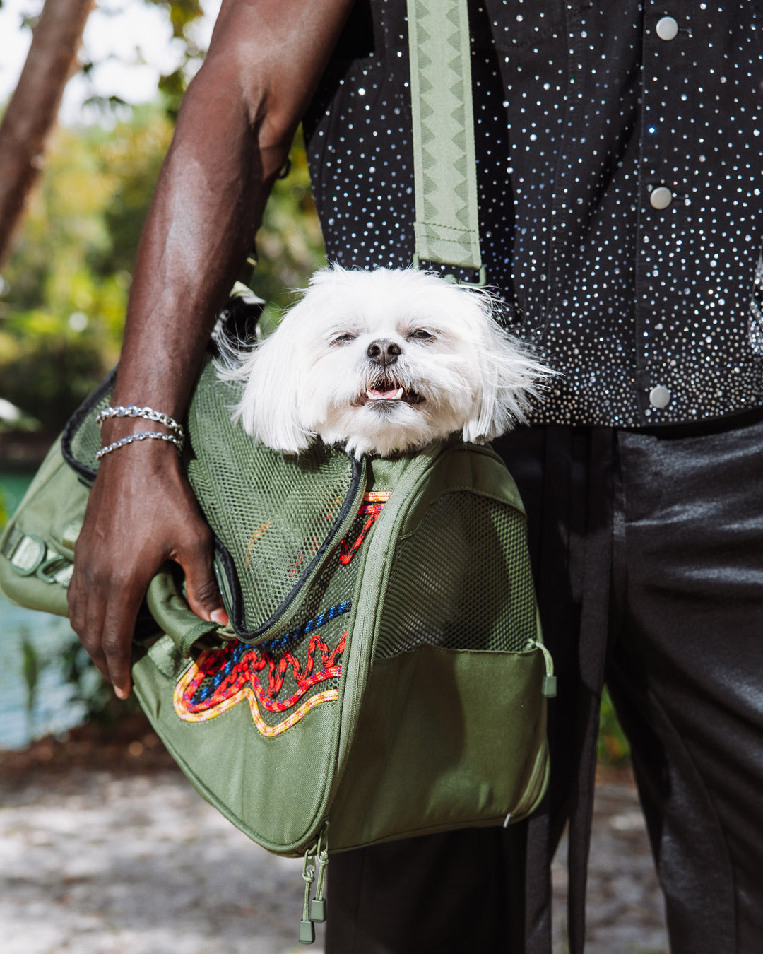 Overview of the Summit Pet Carrier with side pockets and zippers.
