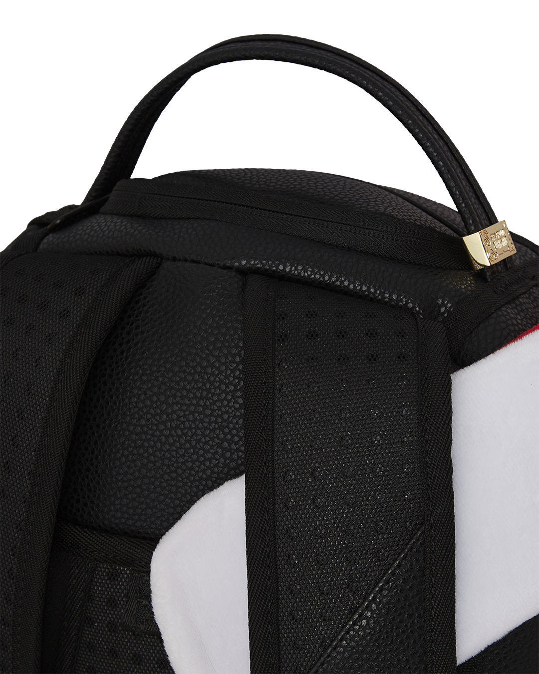 Back panel of best laptop backpack highlighting ergonomic mesh padding and straps