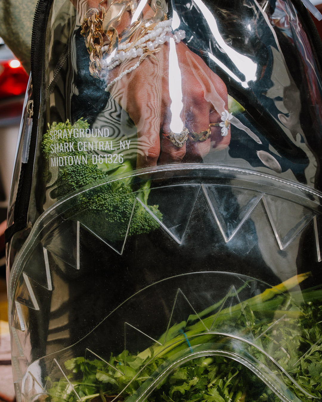 Shark Central clear backpack featuring durable PVC and ergonomic design.