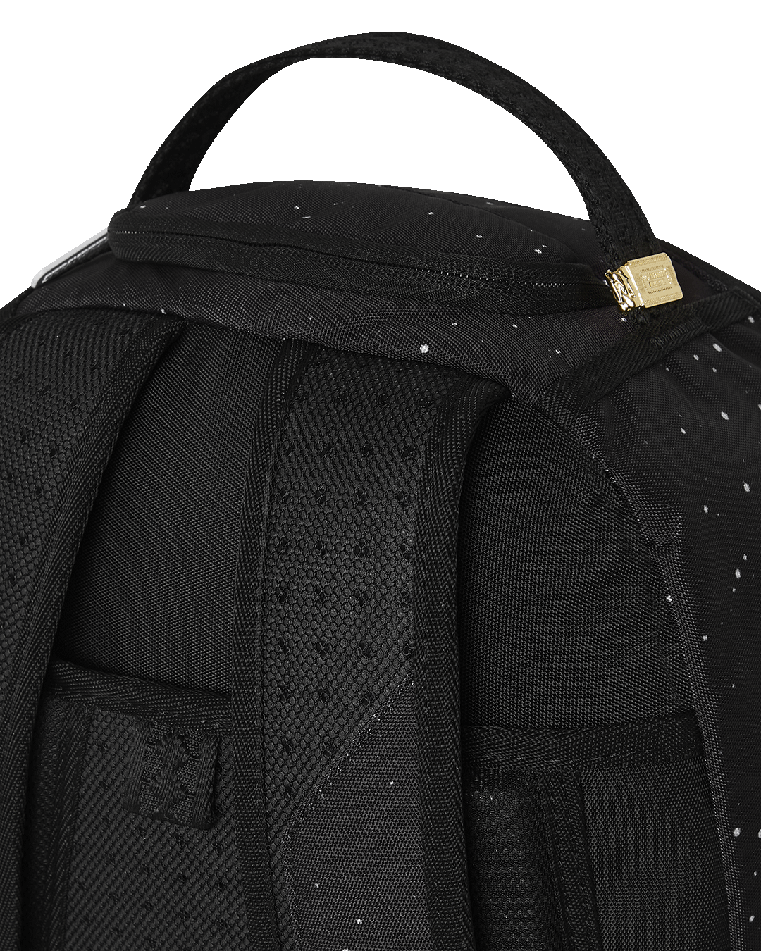Bear Shark DLXR backpack with clear details and ergonomic design