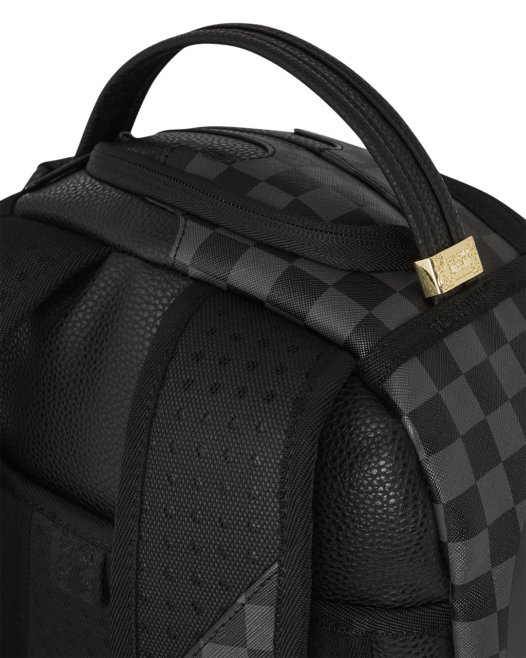 Speed Shark backpack open to showcase interior laptop and sunglass compartments
