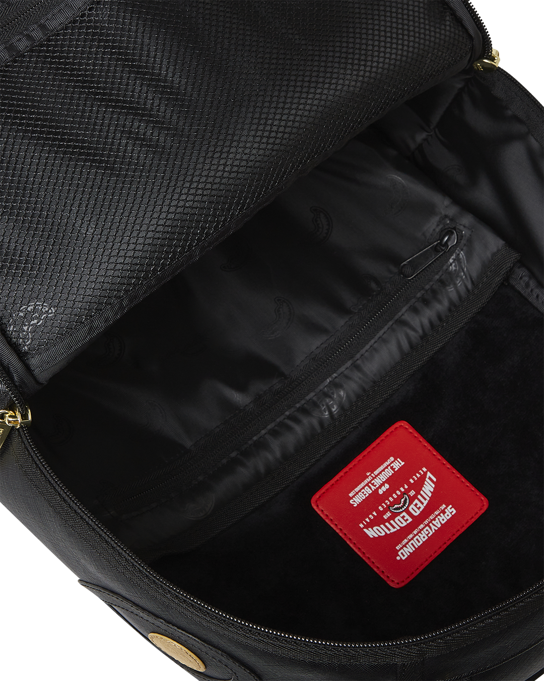 Back view of the backpack, highlighting the ergonomic mesh back padding and adjustable straps.