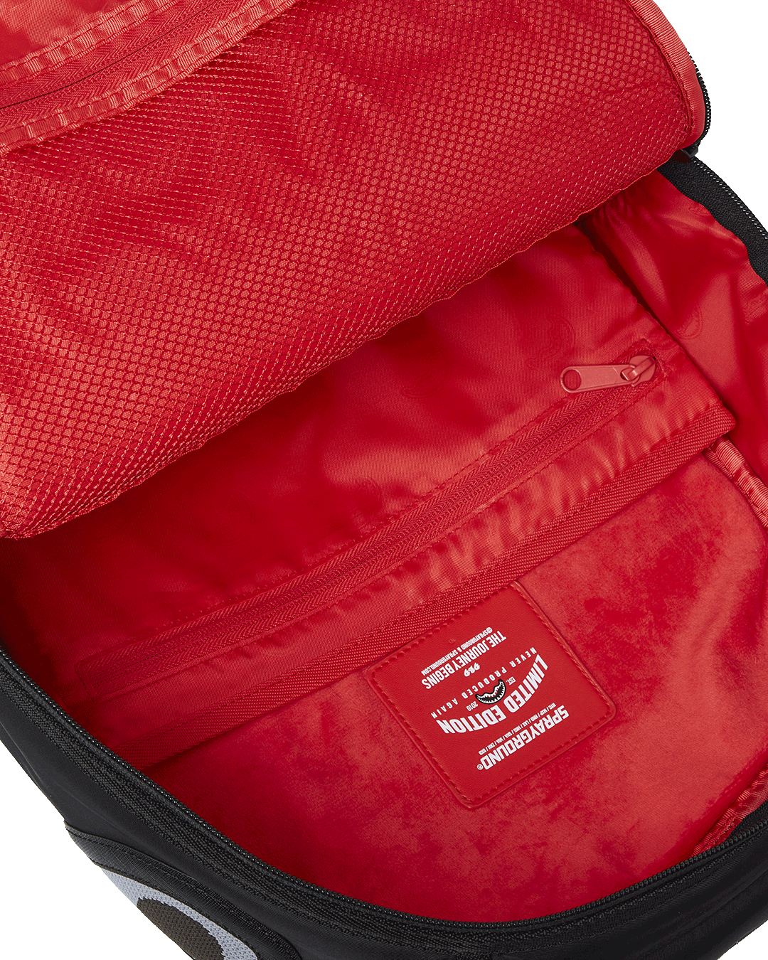 Back view showing ergonomic mesh padding and adjustable straps for commuter comfort