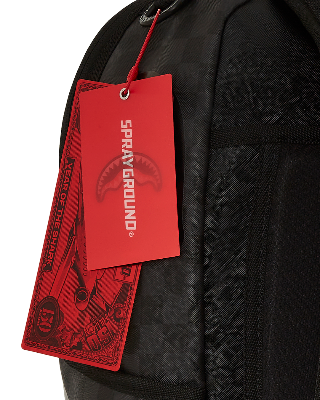 Backpack in use, showing ergonomic mesh back padding and adjustable straps