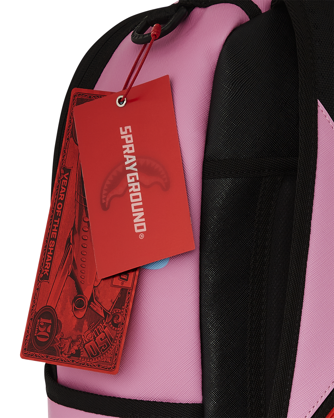 Close-up of backpacks padded laptop compartment and organizer pockets