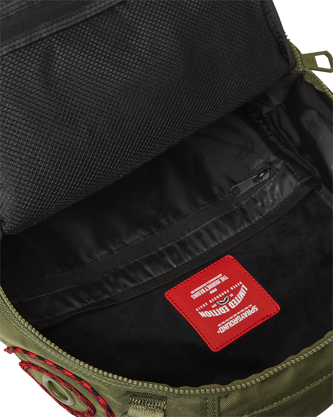 Backpack with separate velour laptop compartment and mesh organizer pocket