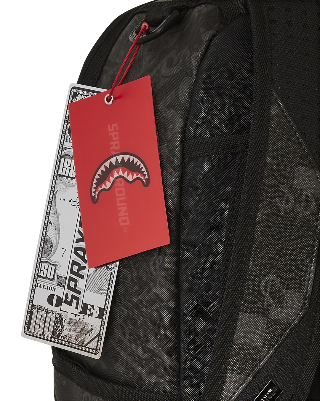 Backpack in use, showing ergonomic mesh back padding and adjustable straps
