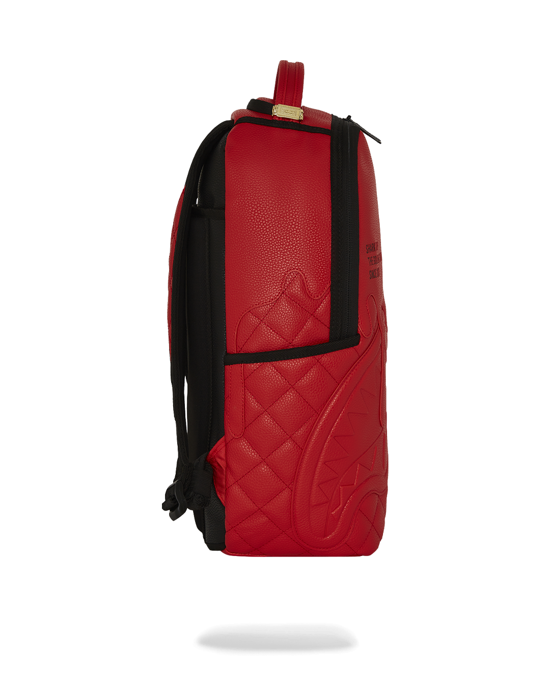 Close-up of the adjustable straps and mesh ergonomic padding, ideal for daily use.