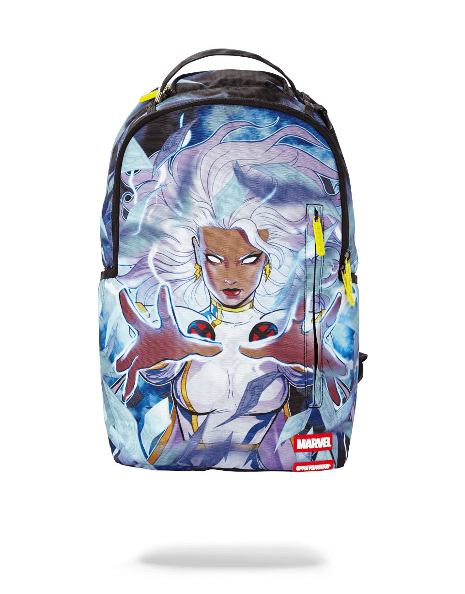 Storm Money backpack open, showing laptop compartment and organizer pockets