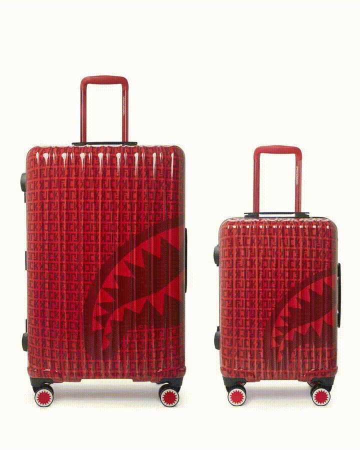 VENI VIDI VICI Polycarbonate TSA Approved Carry-On Luggage - front view with wheels