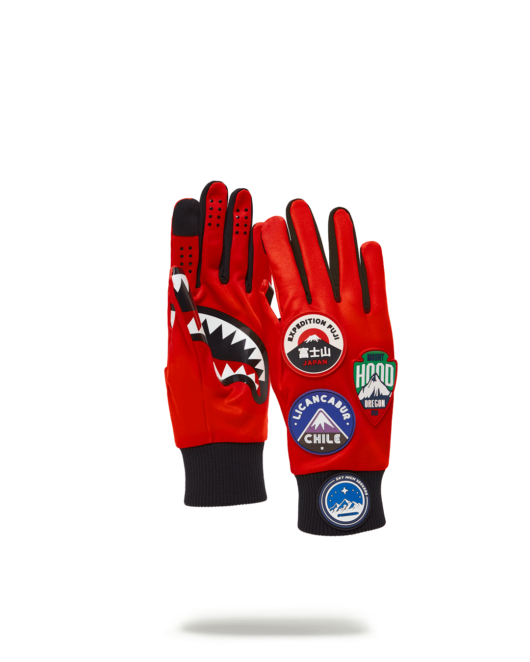 Global Expedition Gloves with touchscreen fingertips on a snowy trail